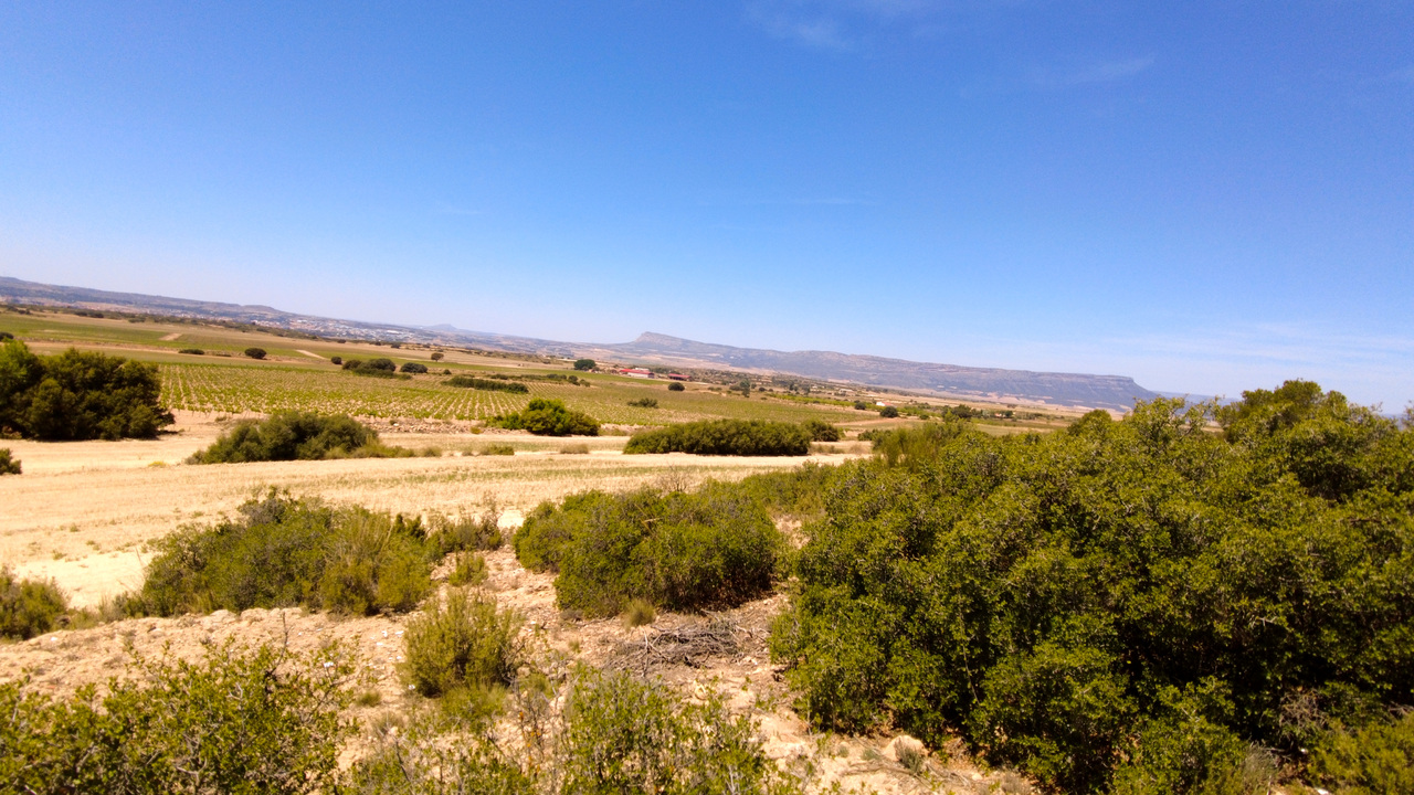 Olive Grove Estates agency inmobilliario off grid property self sufficient Almansa Alicante inland (