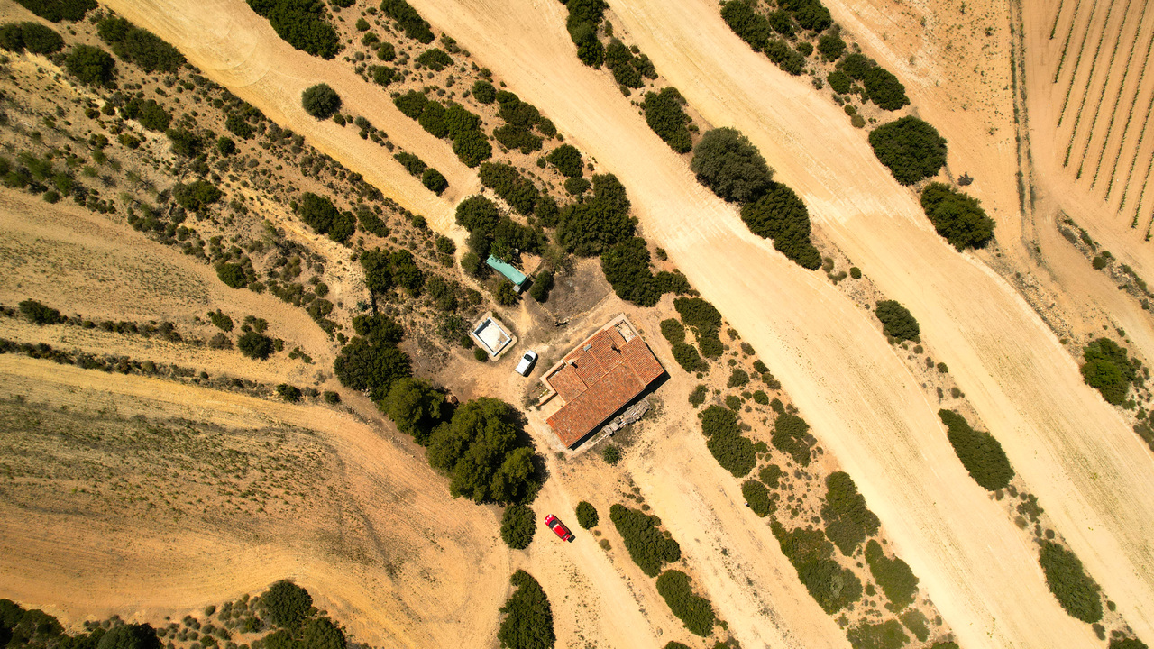 Olive Grove Estates agency inmobilliario off grid property self sufficient Almansa Alicante inland (