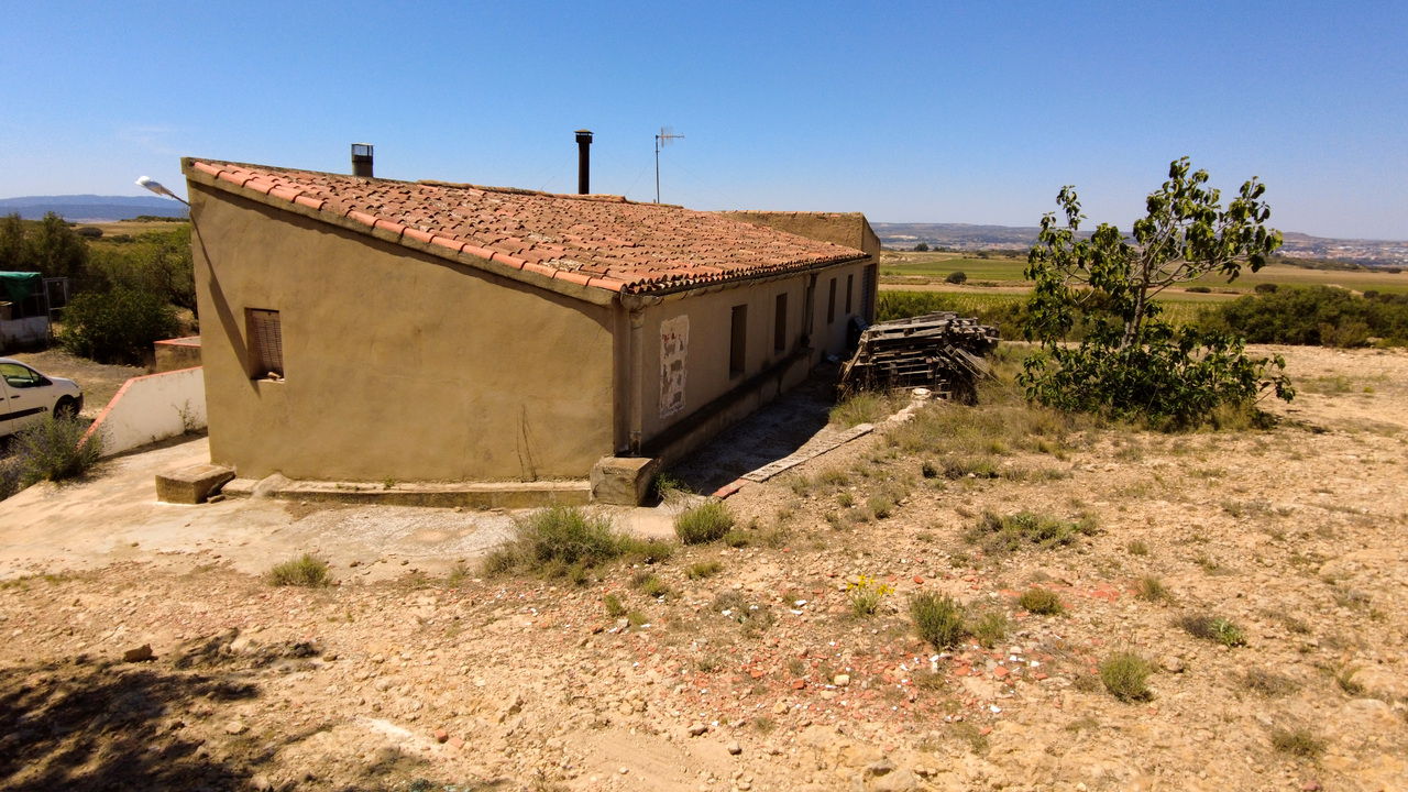 Olive Grove Estates agency inmobilliario off grid property self sufficient Almansa Alicante inland (