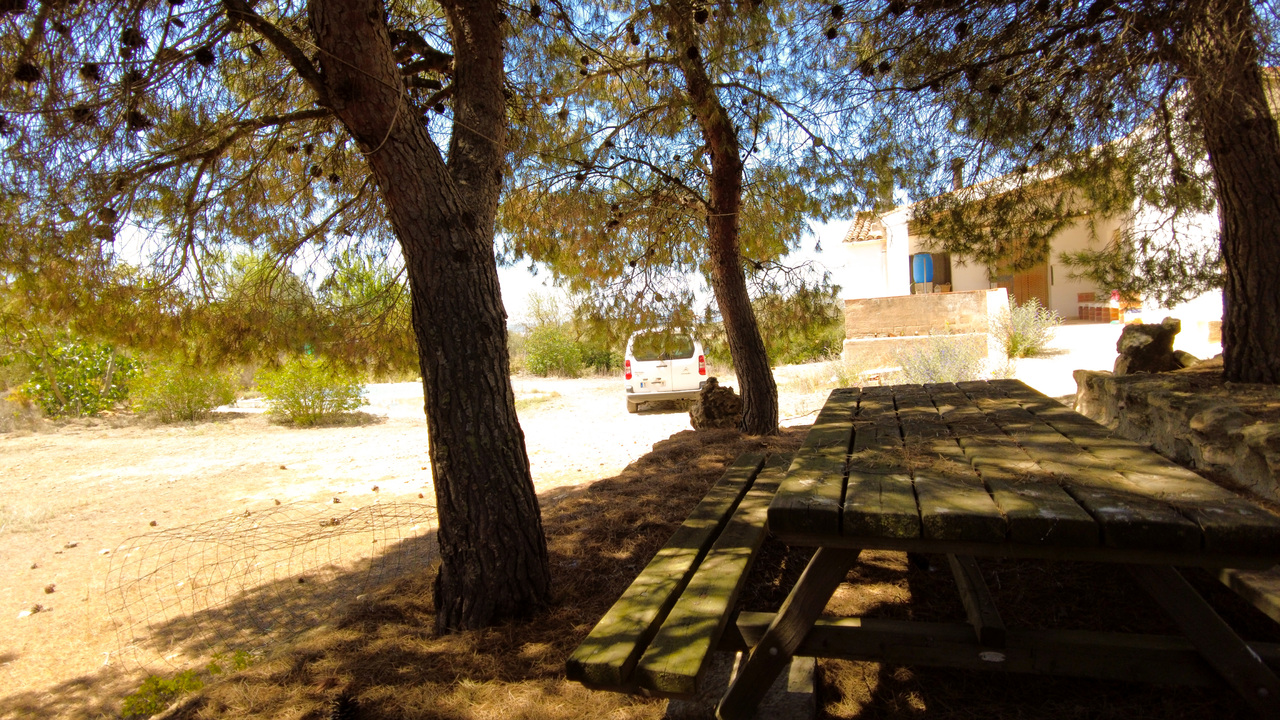 Olive Grove Estates agency inmobilliario off grid property self sufficient Almansa Alicante inland (