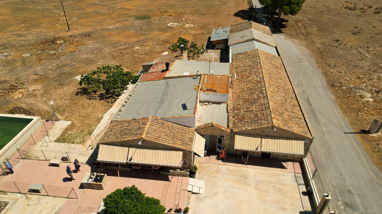 Yecla Olive Grove Estates Agency Inmobiliaria (1)