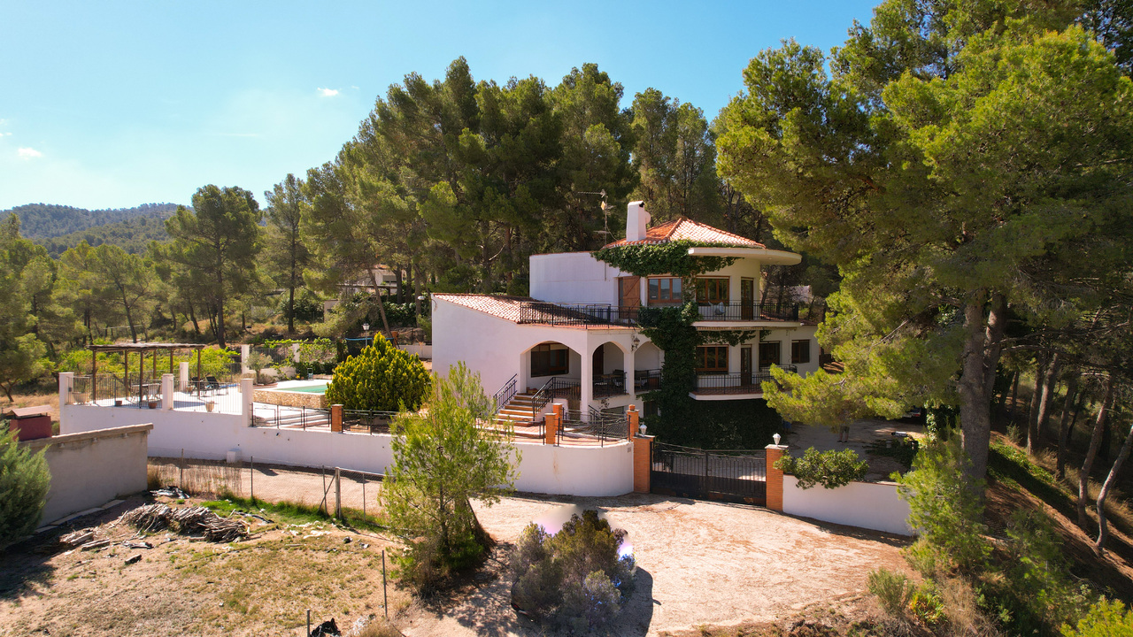 no.1 Estate Agent Alicante Olive Grove Estates Recommend recommended (1)