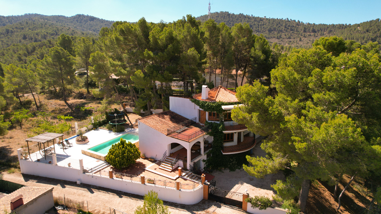 no.1 Estate Agent Alicante Olive Grove Estates Recommend recommended (2)