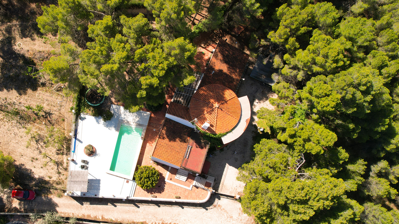 no.1 Estate Agent Alicante Olive Grove Estates Recommend recommended (6)