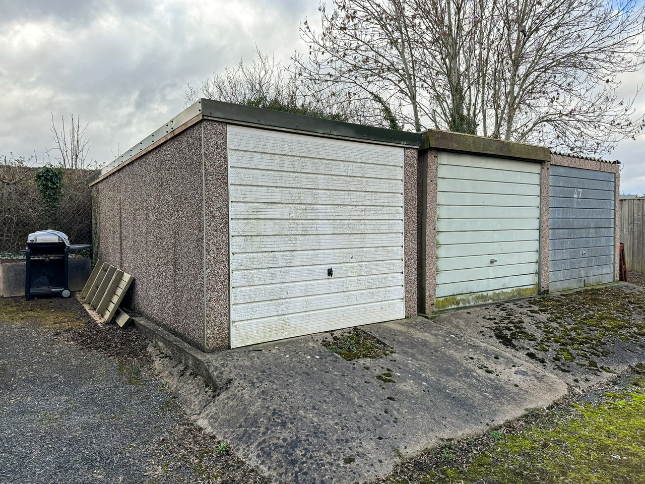 41 Beaufort Avenue - Garage