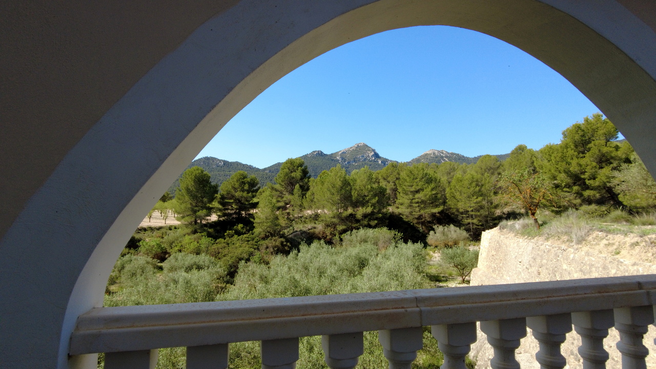 Olive Grove Real Estate Spain Property Tibi Alicante