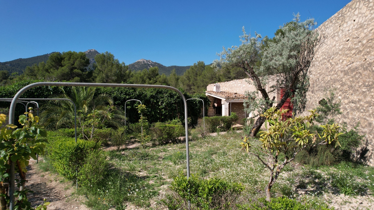 Olive Grove Real Estate Spain Property Tibi Alicante