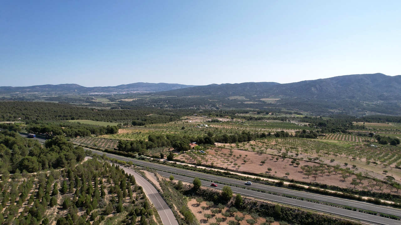 Olive Grove Real Estate Spain Property Tibi Alicante