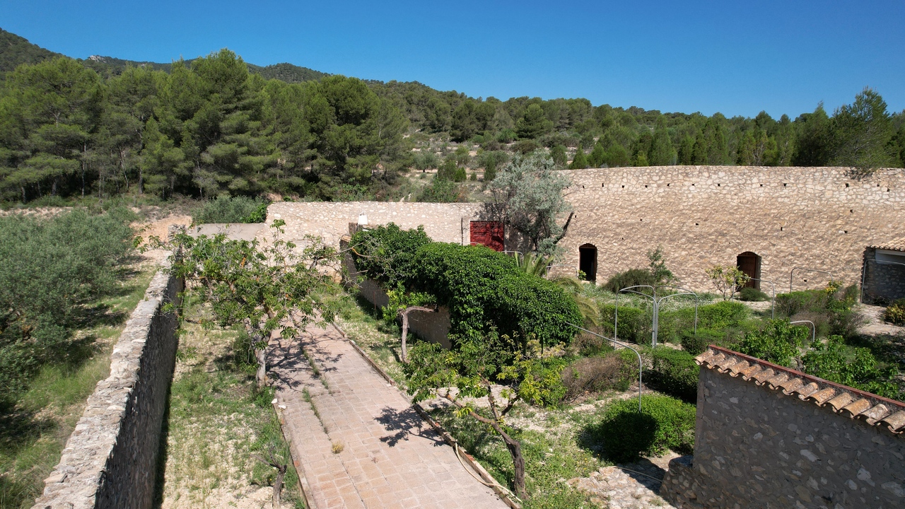 Olive Grove Real Estate Spain Property Tibi Alicante