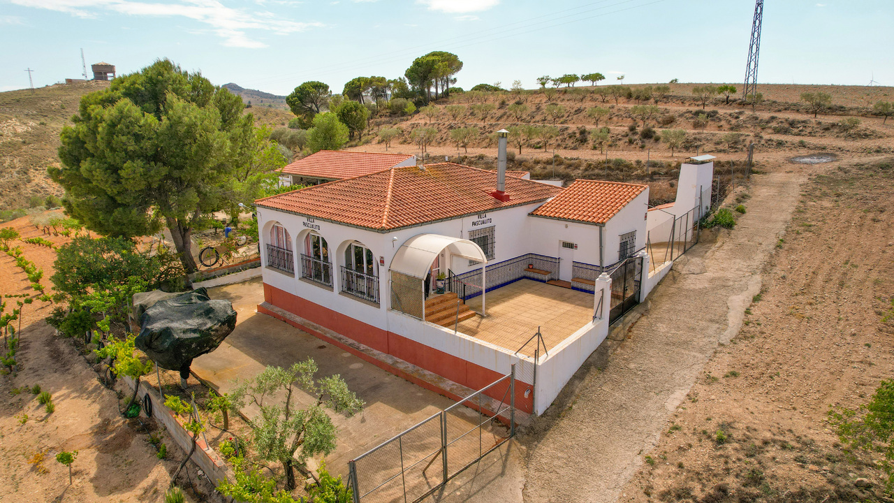 Montealegre del Castillo - Estate Agents Olive Grove Estates Spain (3)