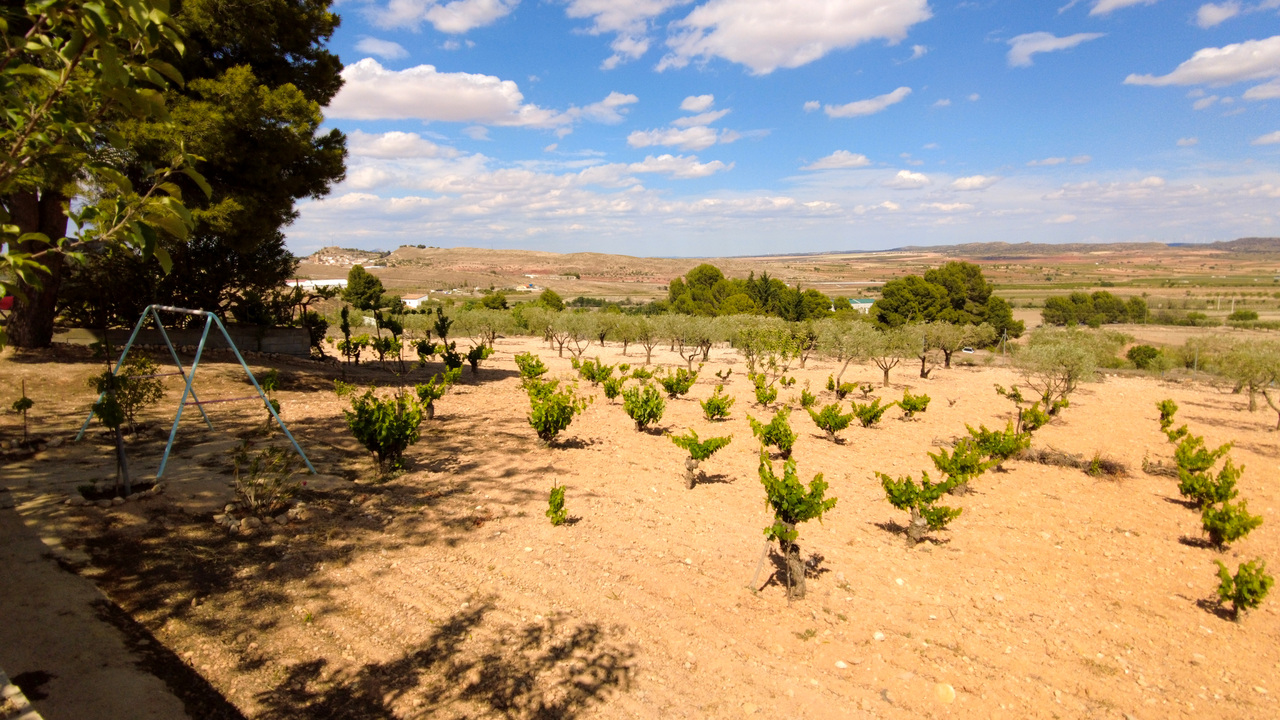 Montealegre del Castillo - Estate Agents Olive Grove Estates Spain (16)