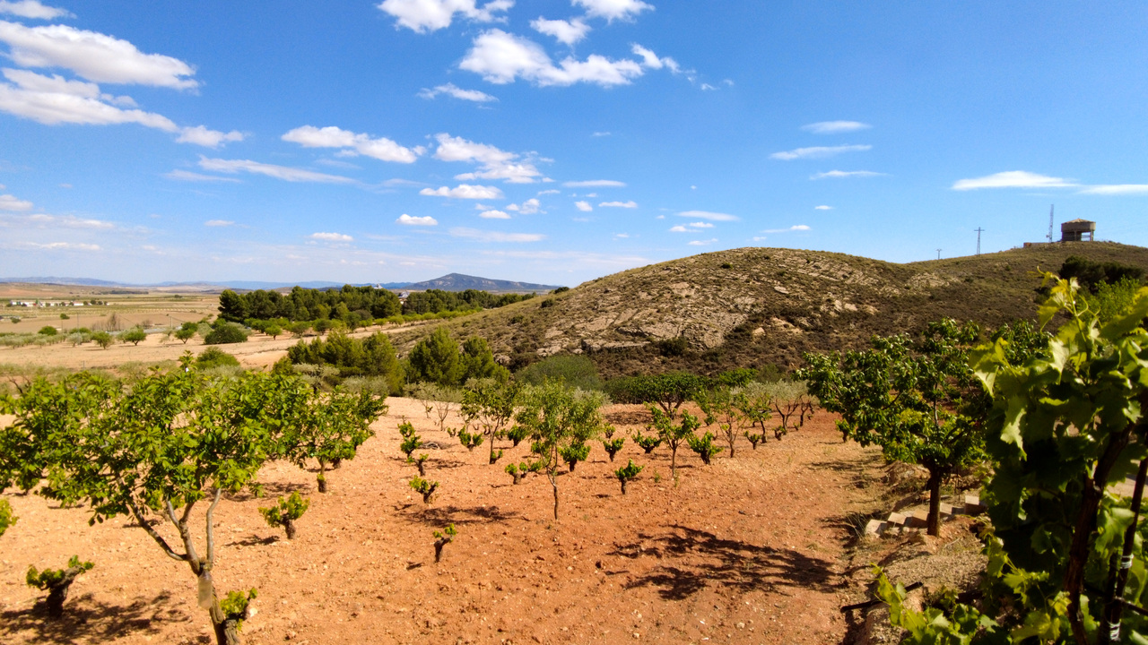 Montealegre del Castillo - Estate Agents Olive Grove Estates Spain (17)