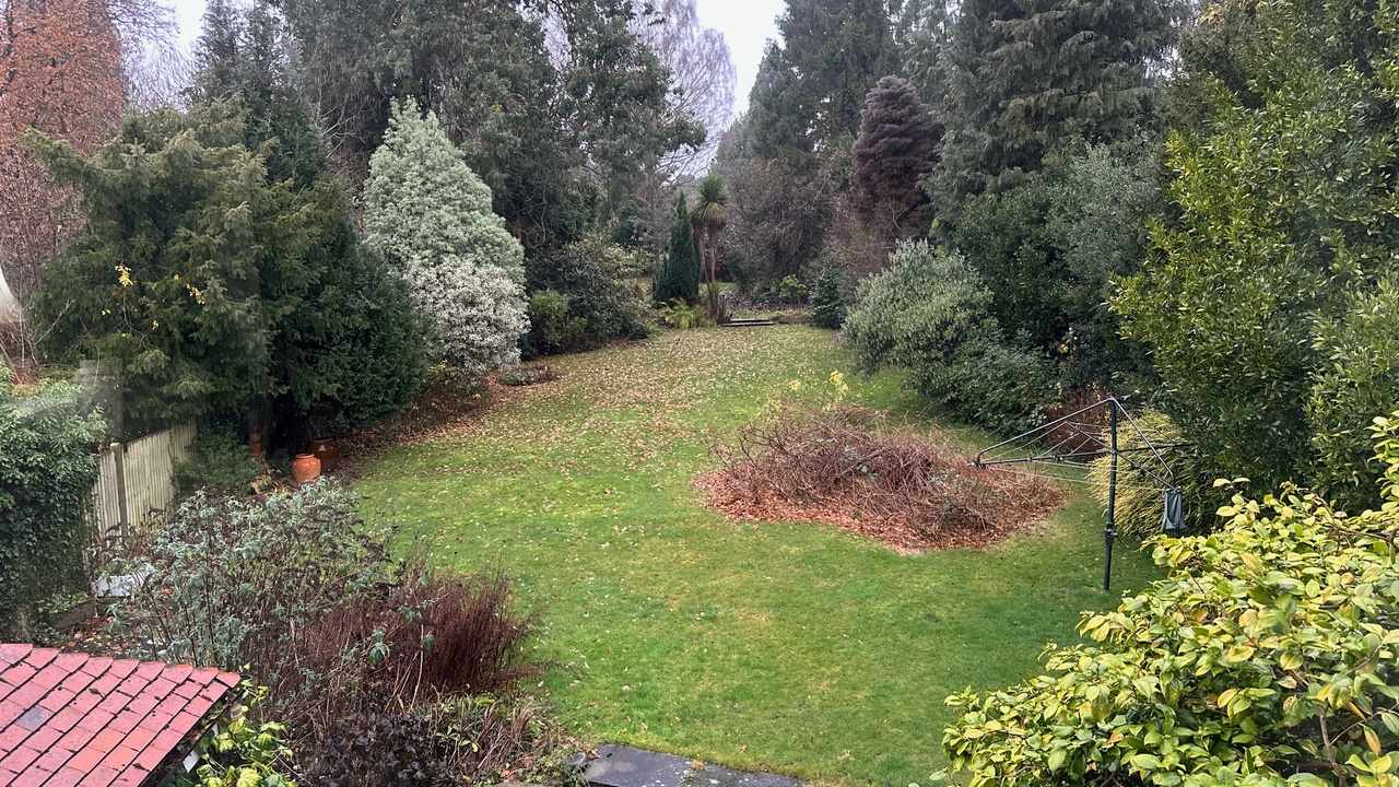Rear Garden_1.JPG