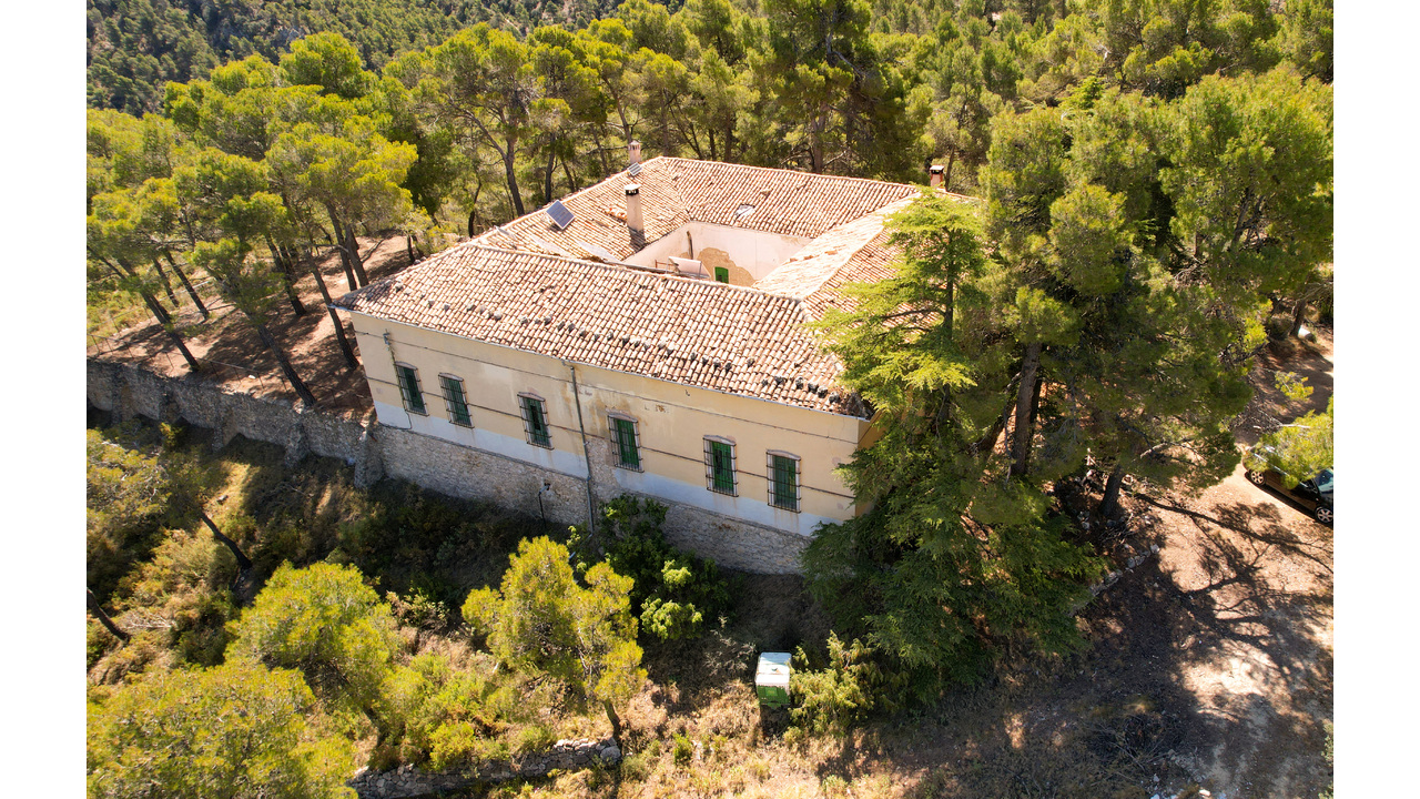 Country House Spain Best Estate Agency Spain Olive Grove Estates