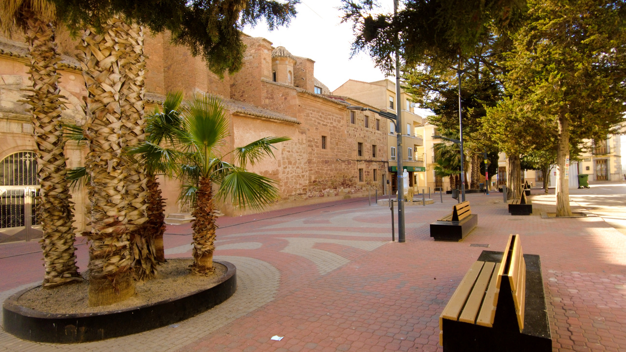 Montealegre del Castillo Apartment Olive Grove Estate Agents Spain (13)