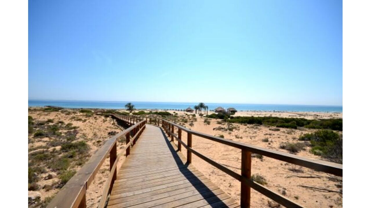 Olive Grove Real Estates Coastal Spain Inmobiliaria Alicante Beach 22