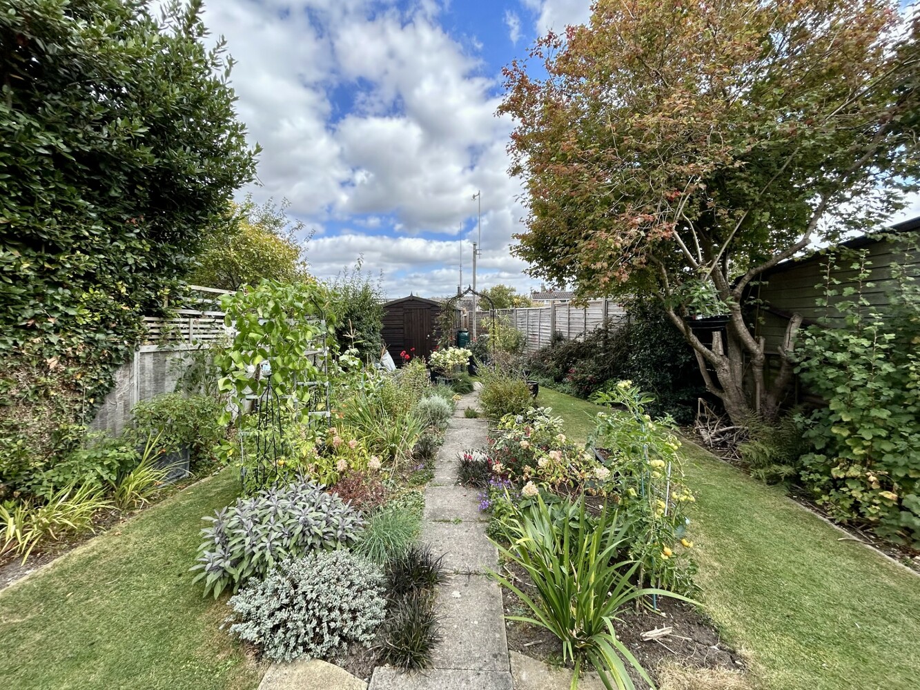 Garden 1