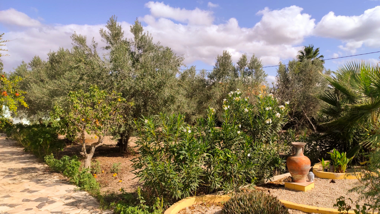 Olive Grove Estates Spanish Real Estate Agents Trusted Inmobiliario (77)_edited