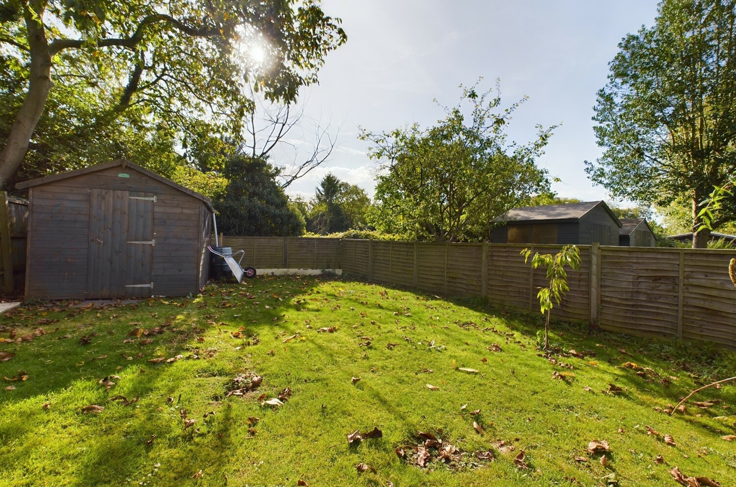 CAM02545G0-PR0062-STILL008