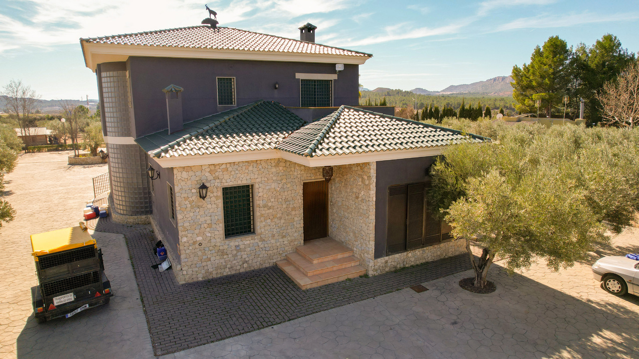 Olive Grove Estates Best Estate Agency in Spain Alicante Almansa (5)