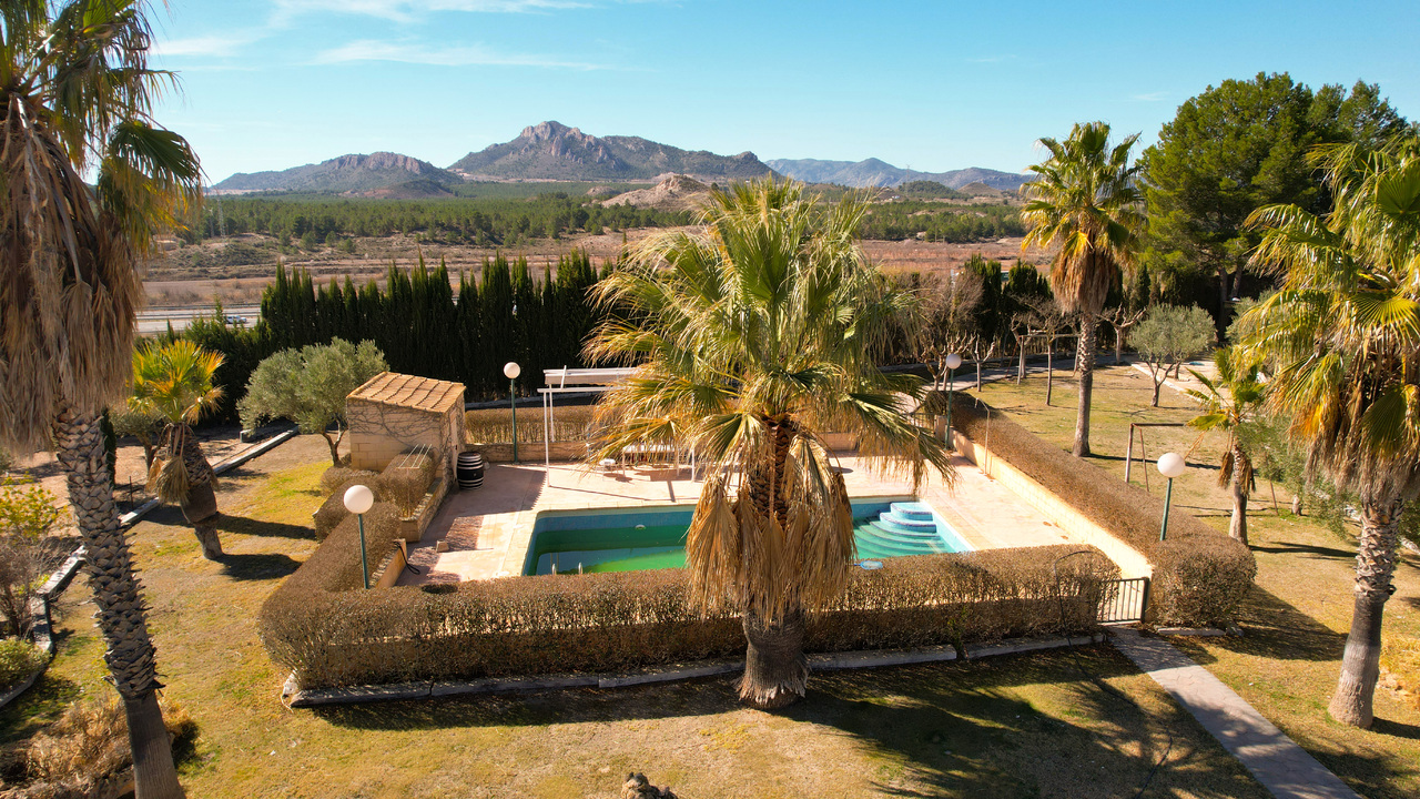 Olive Grove Estates Best Estate Agency in Spain Alicante Almansa (7)