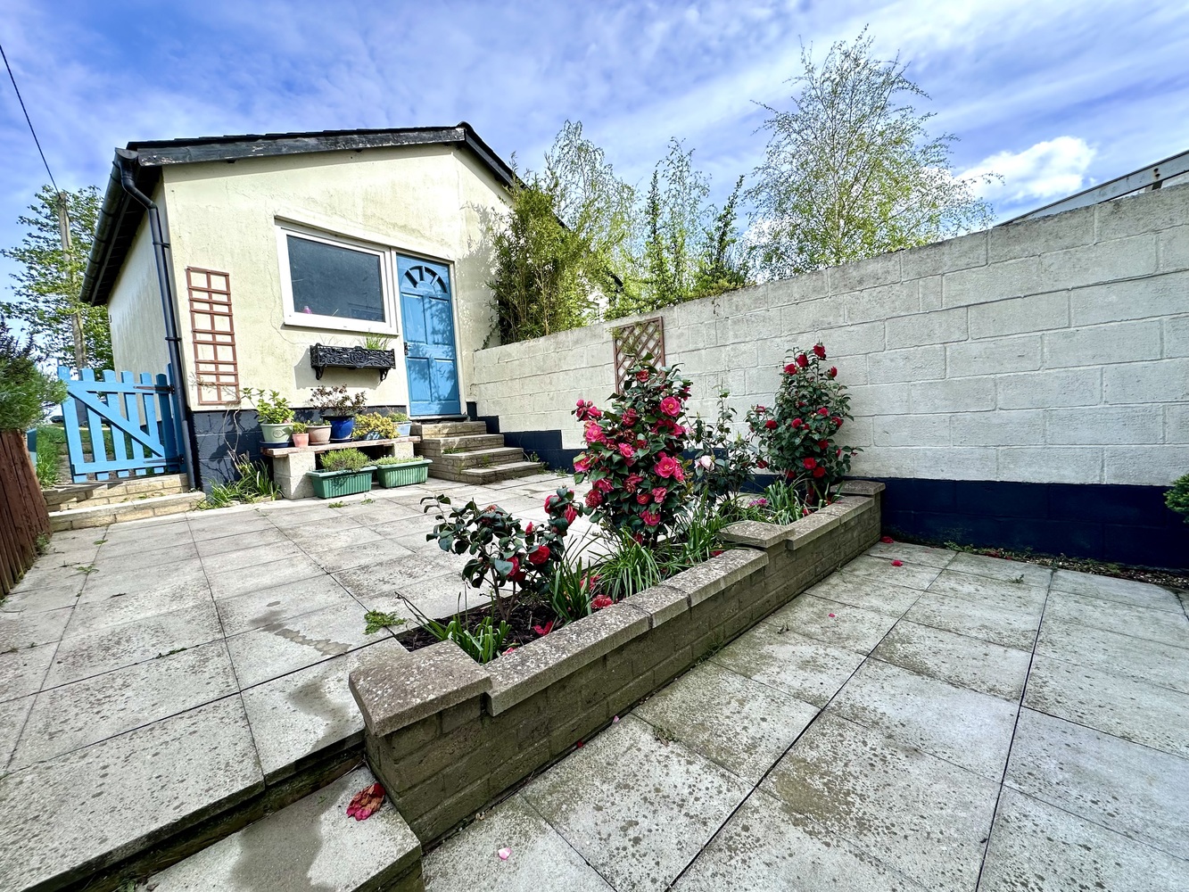 Garden 2