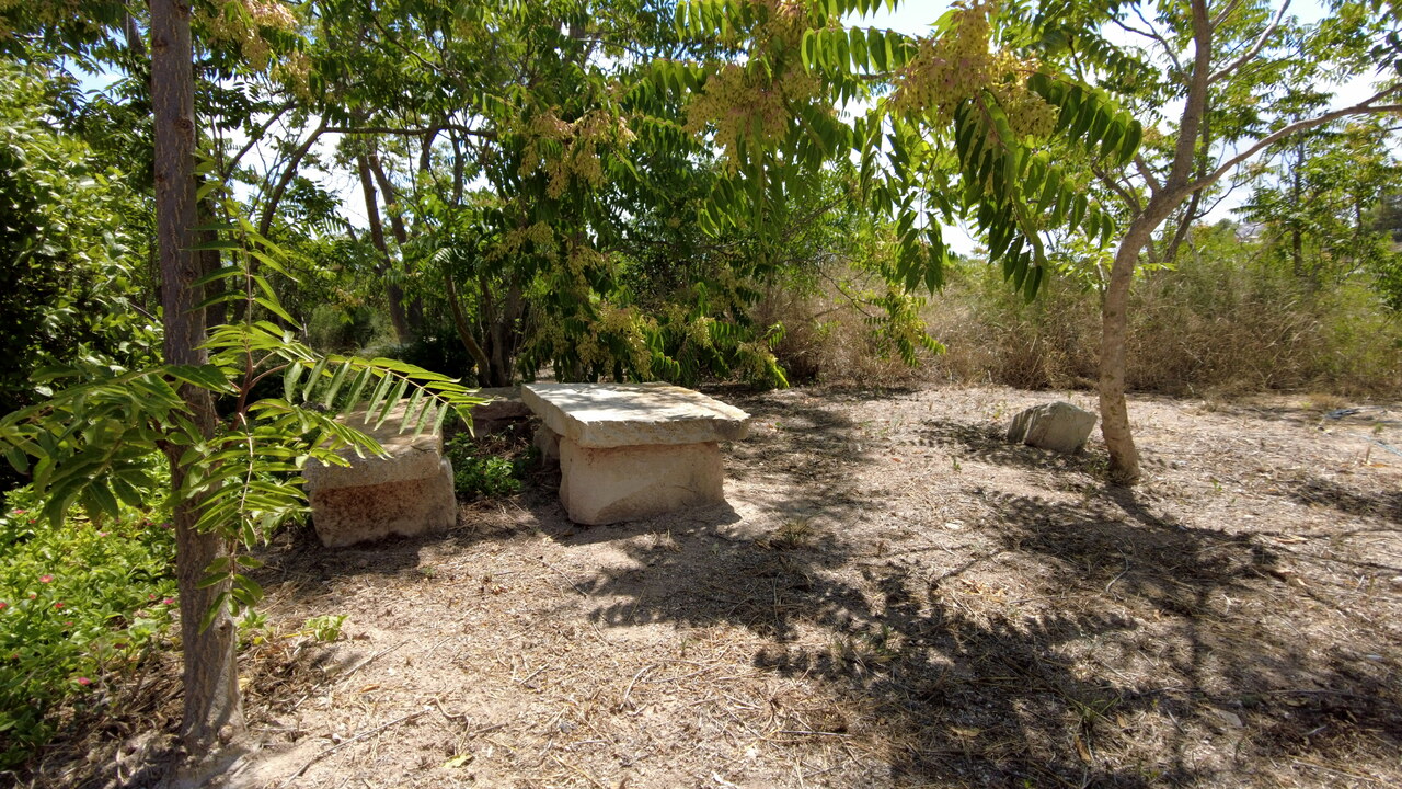 DJI_0978.JPG