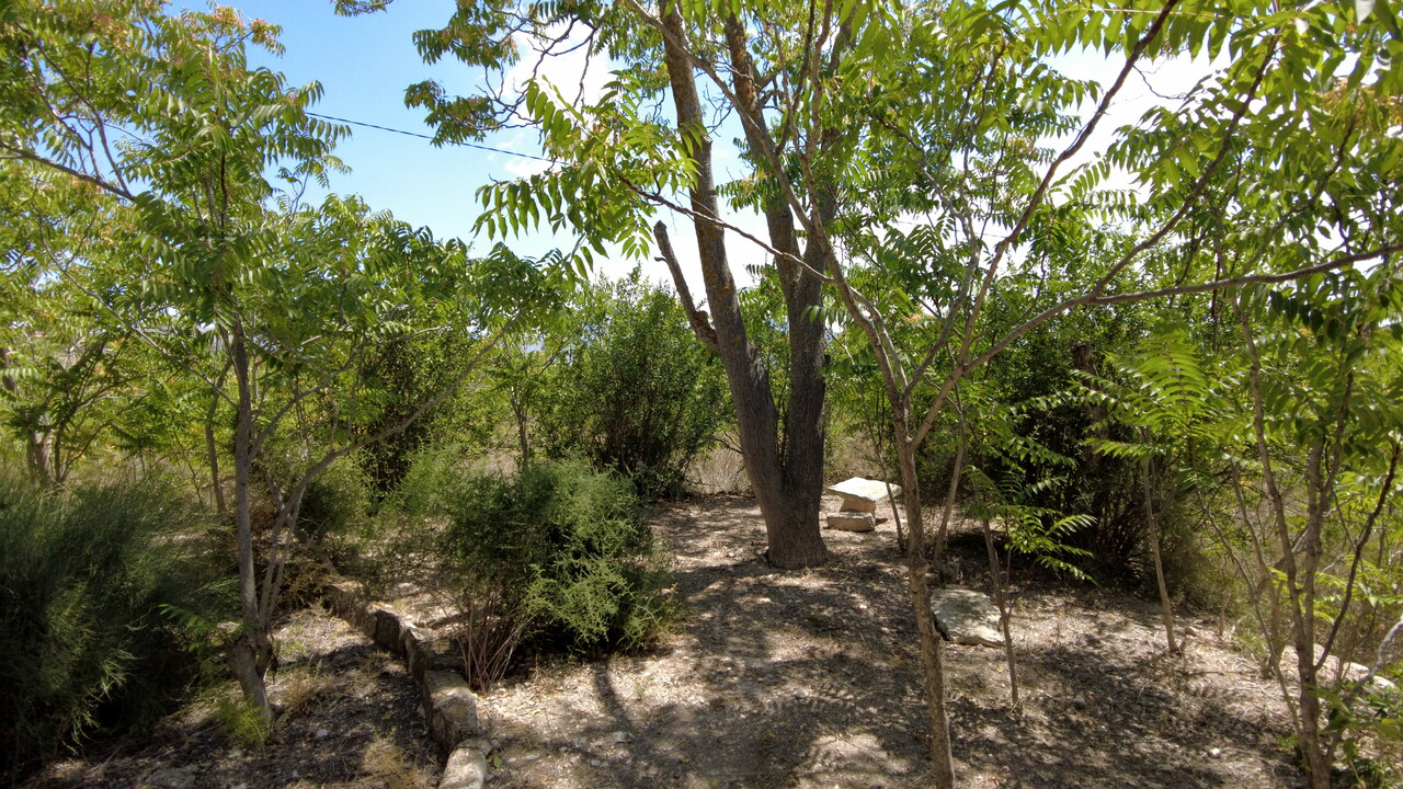 DJI_0979.JPG
