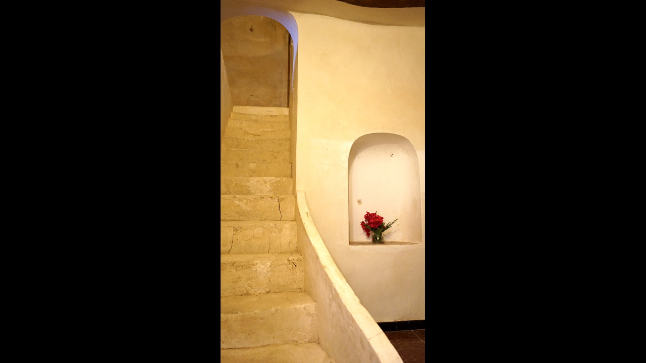 Olive Grove Estates Monovar Alicante Real Inmobiliario Trusted Best Spain (6).JPG