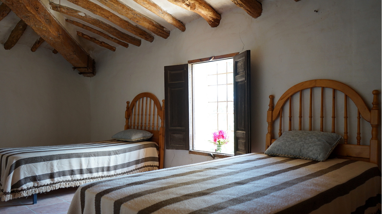 Olive Grove Estates Monovar Alicante Real Inmobiliario Trusted Best Spain (22).JPG
