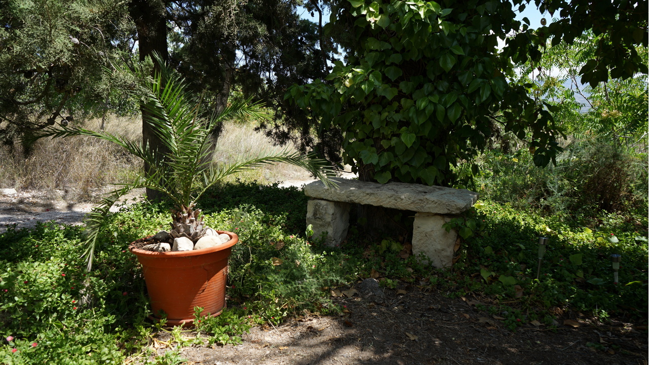 Olive Grove Estates Monovar Alicante Real Inmobiliario Trusted Best Spain (30).JPG