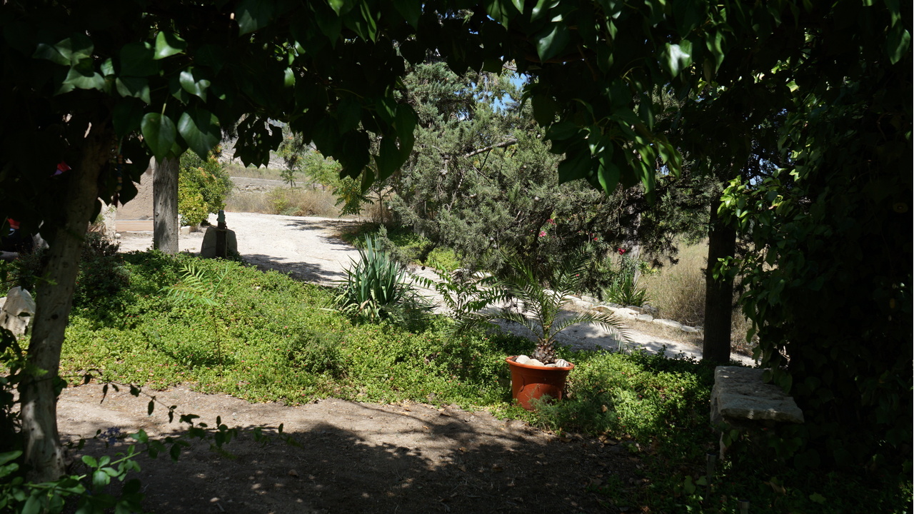 Olive Grove Estates Monovar Alicante Real Inmobiliario Trusted Best Spain (31).JPG