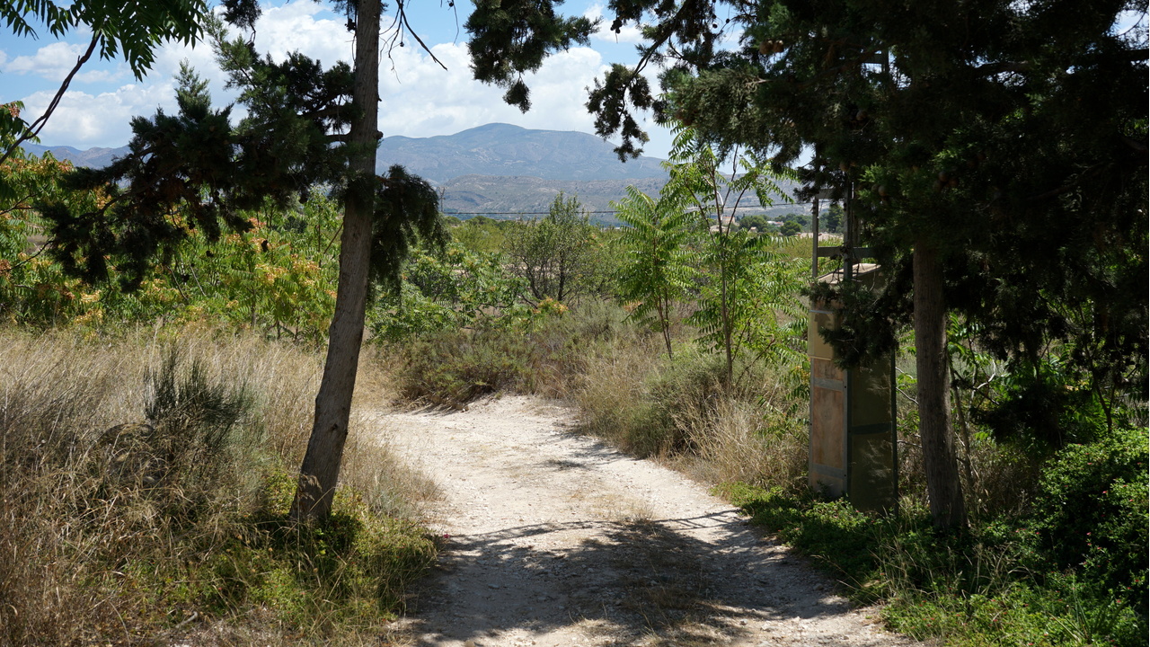 Olive Grove Estates Monovar Alicante Real Inmobiliario Trusted Best Spain (33).JPG