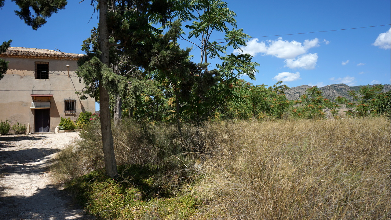 Olive Grove Estates Monovar Alicante Real Inmobiliario Trusted Best Spain (35).JPG