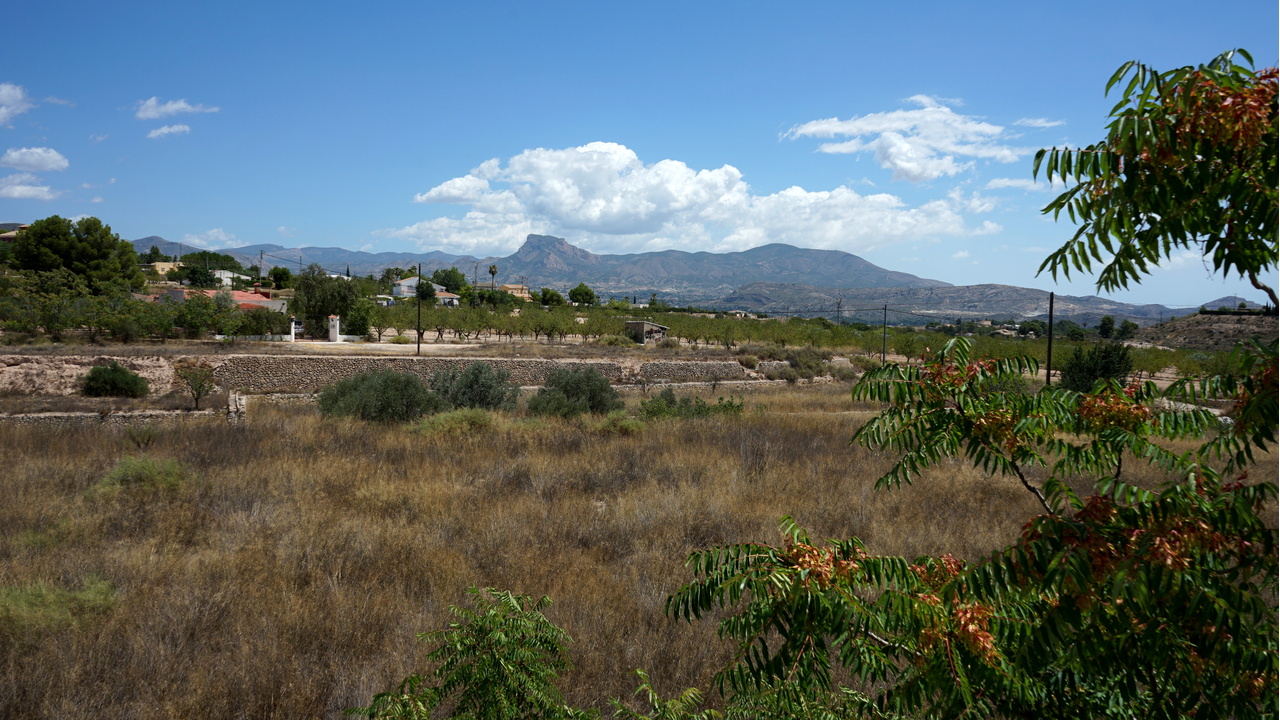 Olive Grove Estates Monovar Alicante Real Inmobiliario Trusted Best Spain (37).JPG