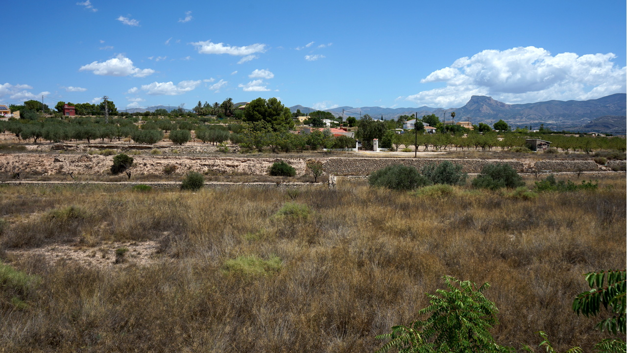 Olive Grove Estates Monovar Alicante Real Inmobiliario Trusted Best Spain (38).JPG