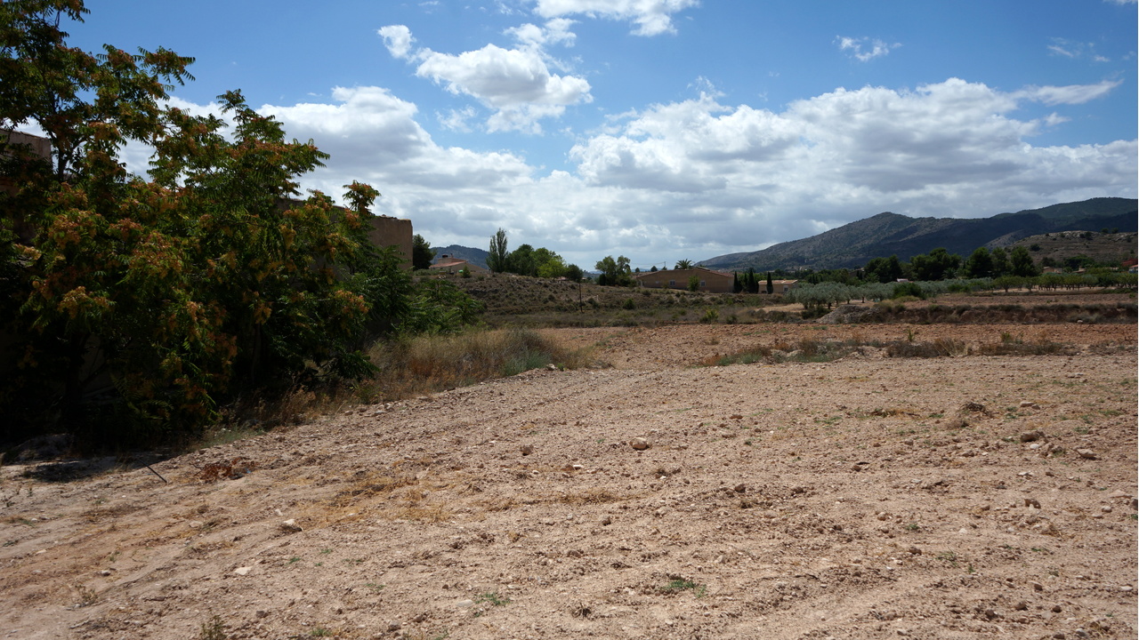 Olive Grove Estates Monovar Alicante Real Inmobiliario Trusted Best Spain (41).JPG
